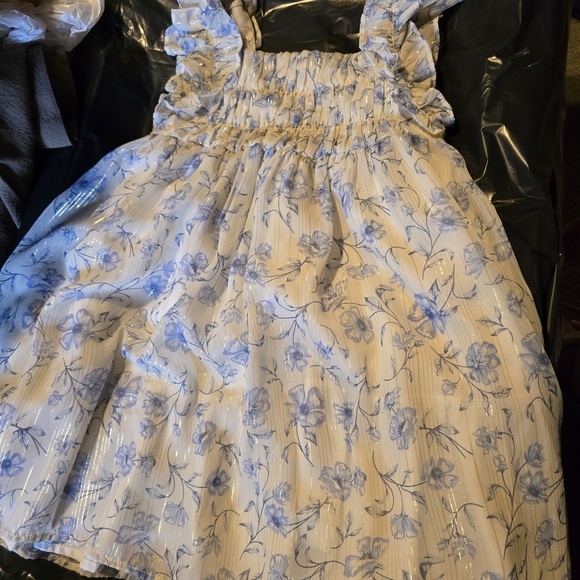 Rachel Zoe Blue and Cream Pleated Sundress - Picture 2 of 3